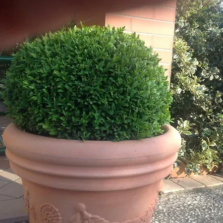 Casale El Galet Apartmán Moniga del Garda